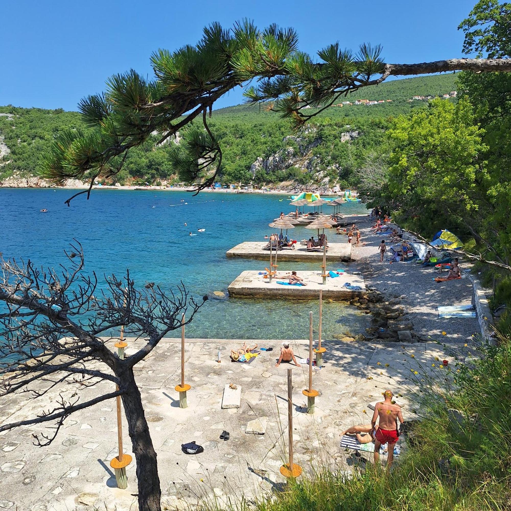 Family And Pet Friendly Zrinski Croatia Apartment *